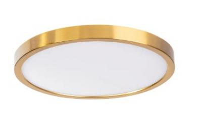 Auster Gold Trim to Suit 24W LED Ceiling Oyster Light